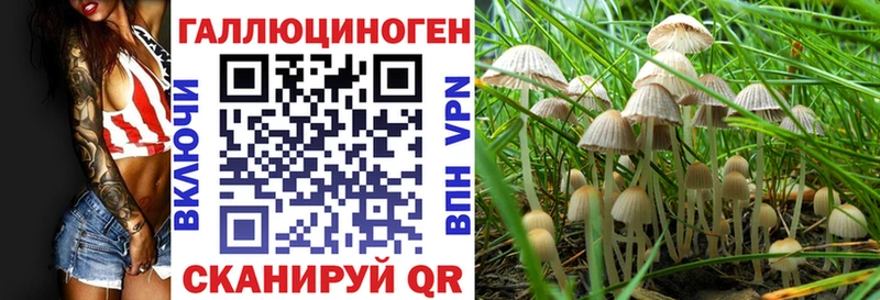 Галлюциногенные грибы Magic Shrooms  где продают наркотики  Гуково 
