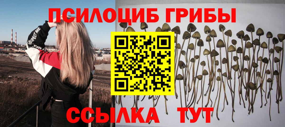 Псилоцибиновые грибы MAGIC MUSHROOMS  Гуково  Псилоцибиновые грибы Psilocybe 