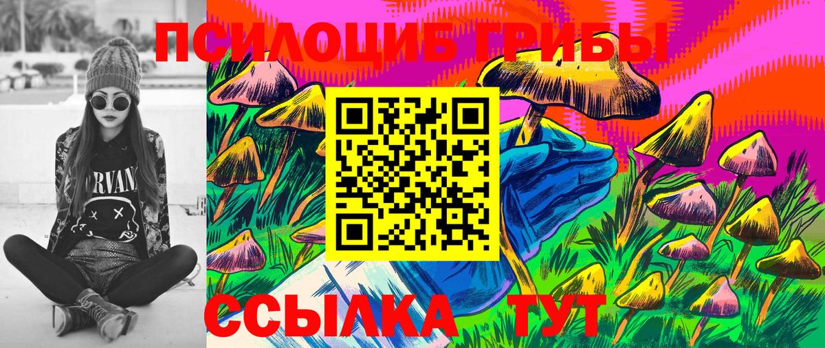 Гуково  Галлюциногенные грибы мицелий  Вход с VPN 
